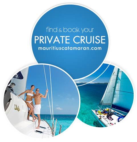 Catamaran Shared Basis Cruise OR Private Cruise in Mauritius