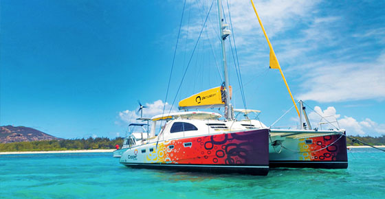 Full Day Catamaran Cruise With A Dive At Coin De Mire