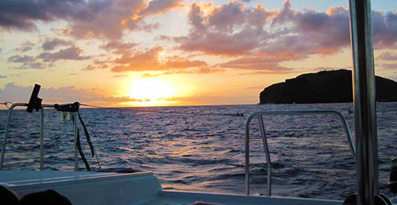 Sunset Catamaran Cruise - North Coast (Grand Bay)